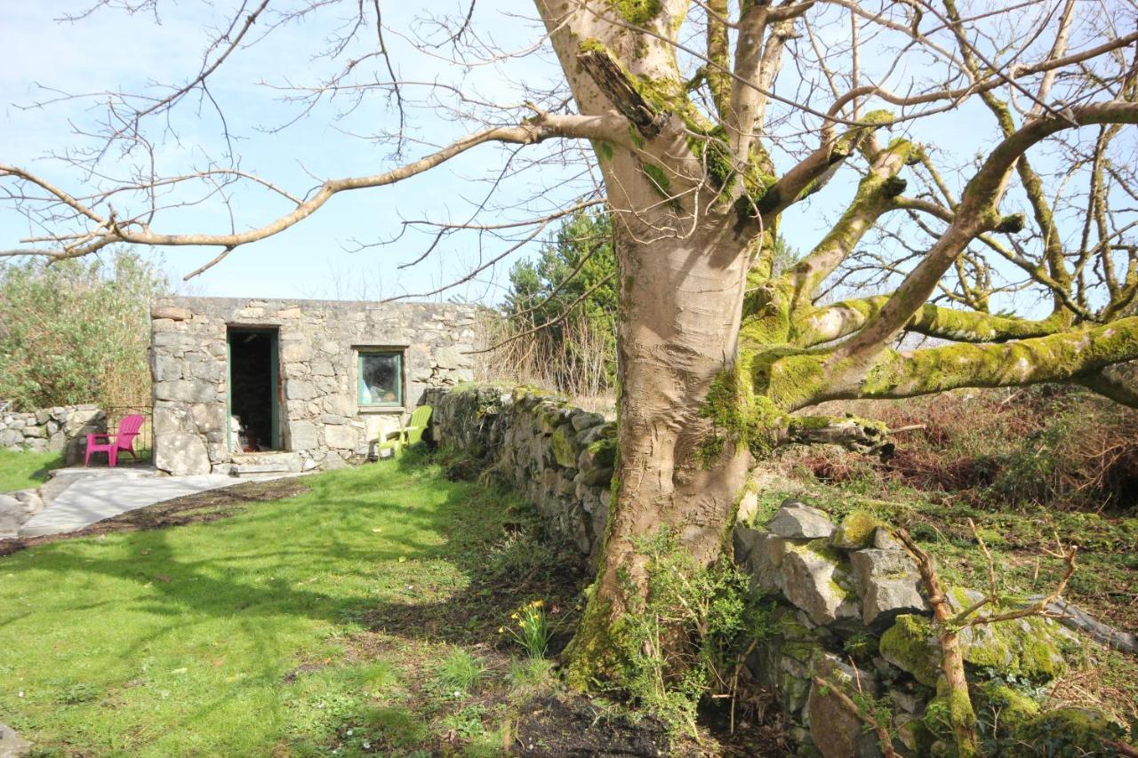 Atlantic Way Cottage Galway Zewnętrze zdjęcie